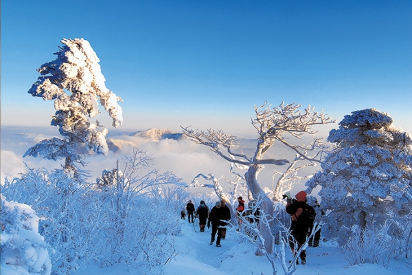 태백산 등산코스