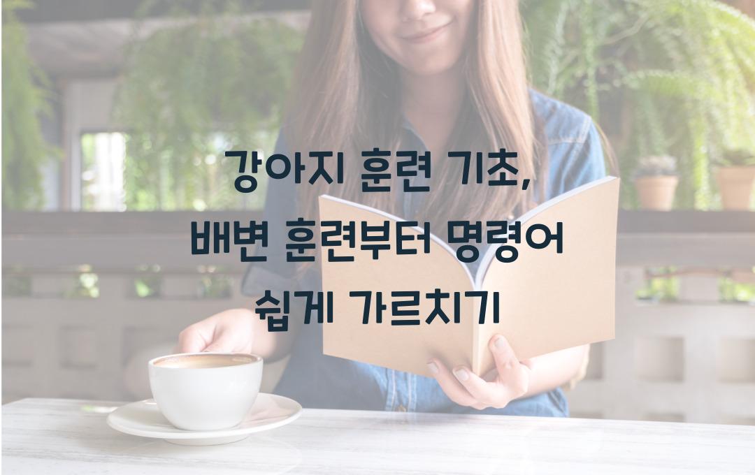 강아지 훈련 기초, 배변 훈련부터 기본 명령어 가르치는 법