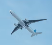 제주도 항공권 예약