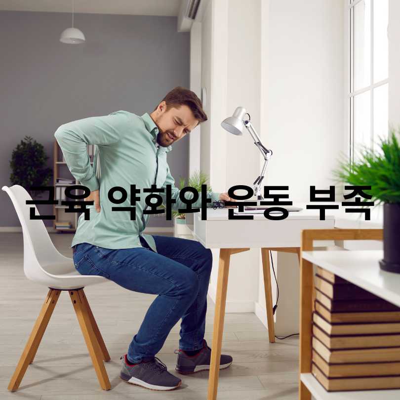 요통 원인과 요통 스트레칭 효과