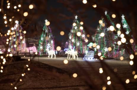 벚꽃축제 봄꽃축제