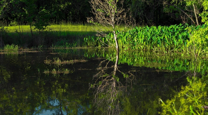 산업별 동적 케이블 사용 사례