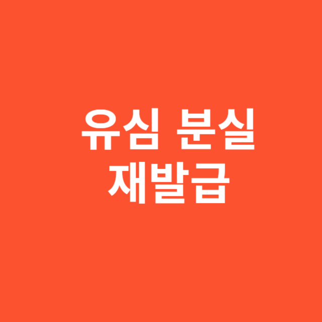 유심 분실 재발급