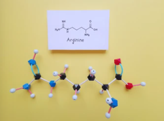 아르기닌 부작용