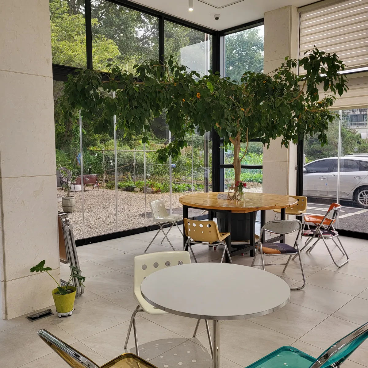 카페-주이-1층-내부의-나무