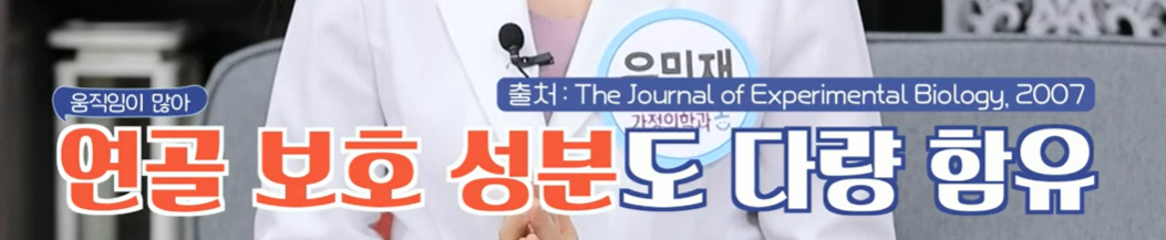 콘드로이친