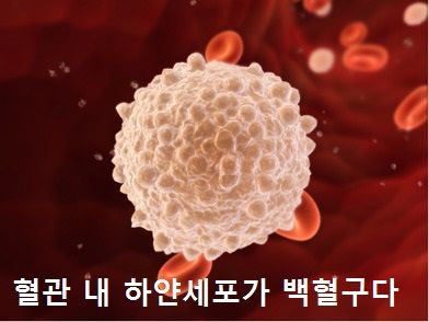 혈소판 수치가 낮으면