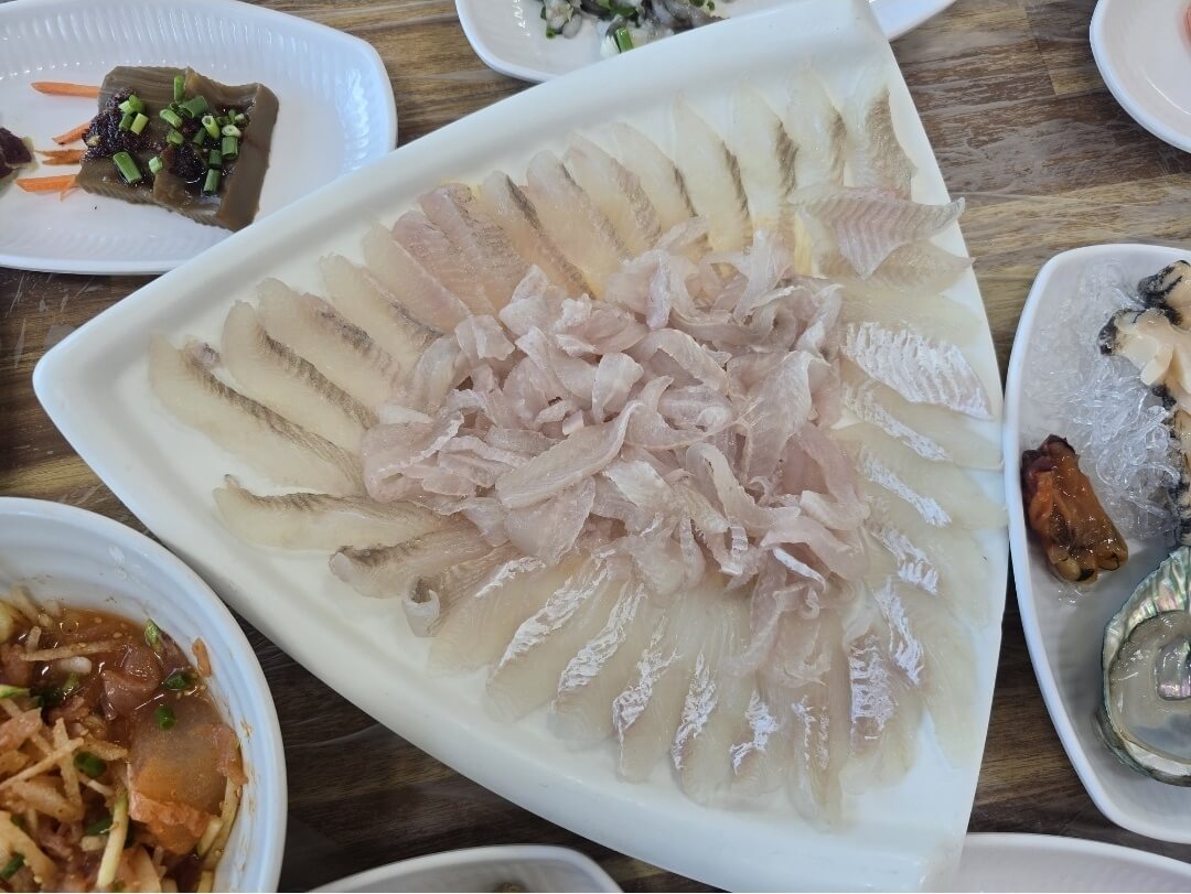 참가자미 사진