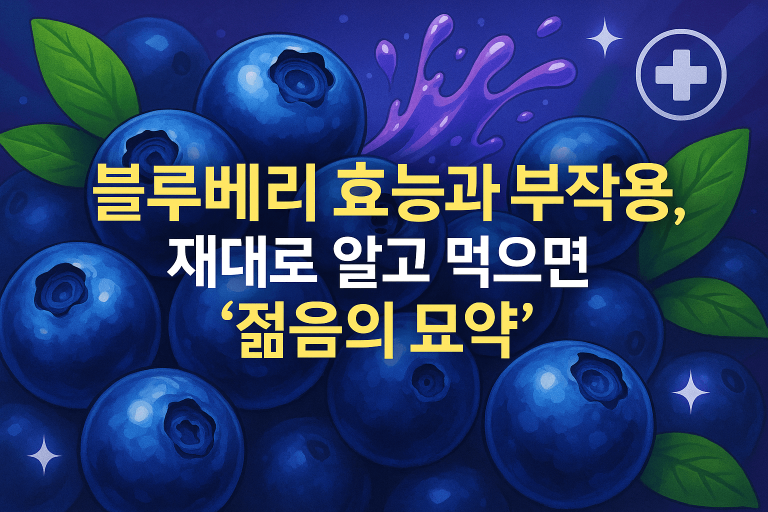 블루베리 효능과 부작용 , 제대로 알고 먹으면 '젊음의 묘약'