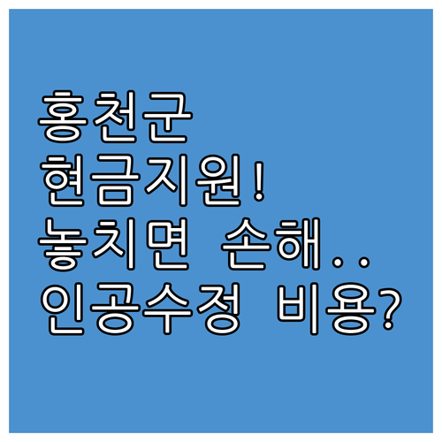 2025년 홍천군 인공수정 비용 현금..