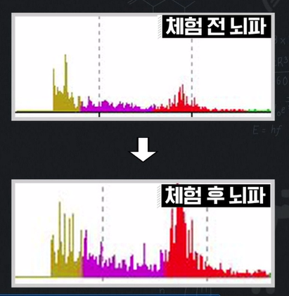포스파티딜세린 효능