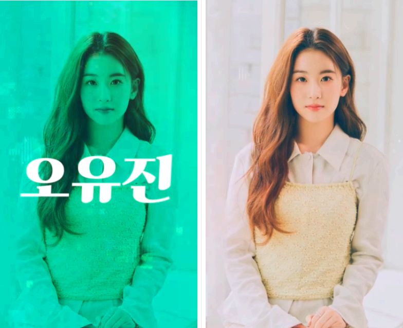 K트로트 페스티벌