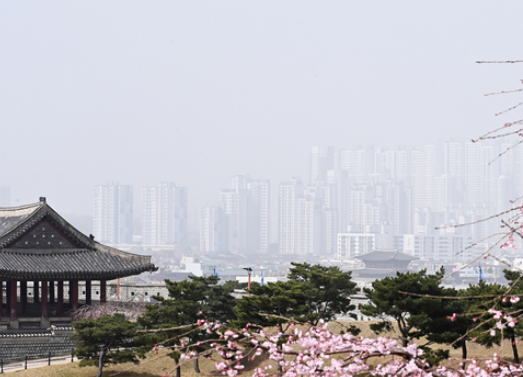 봄 미세먼지