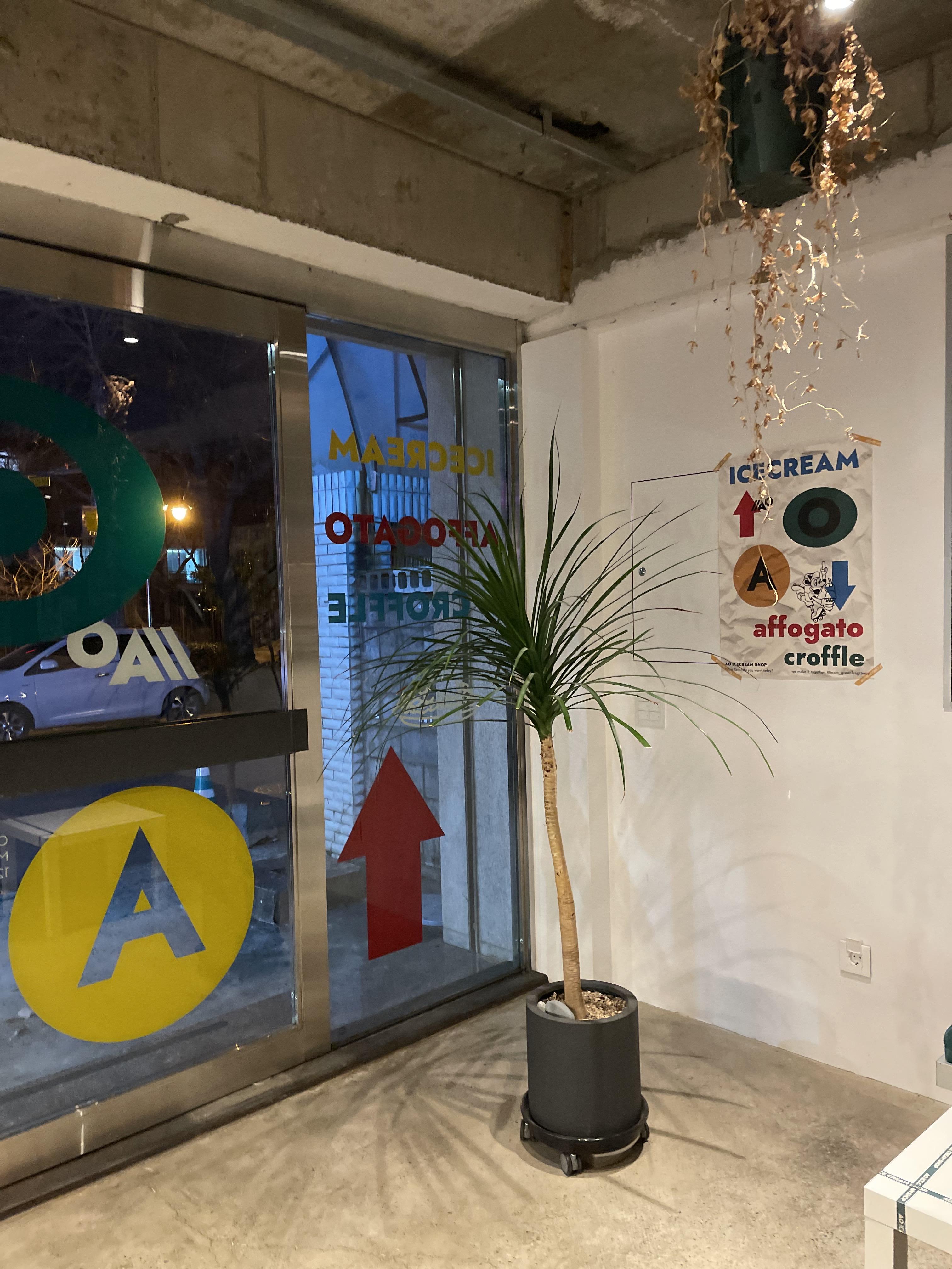 울산 중구 태화강국가정원 맛집 에이오우