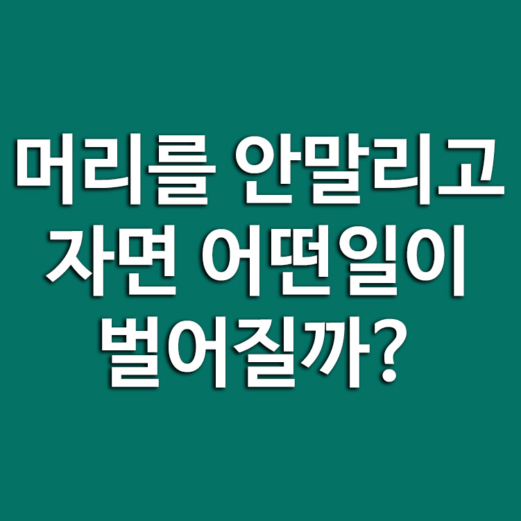 머리를 안말리고 자면 어떤일이 벌어질까?