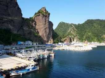 울릉도 여행 코스 배편 숙소 버스 동선으로 여유 있게_19