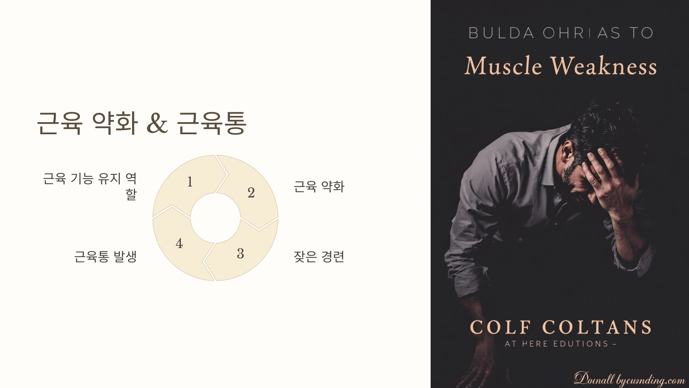 비타민D와 관련된 사진입니다.
