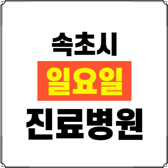 속초시 일요일 진료병원 찾기 ❘ 24시 휴일 주말 응급 야간 심야 문여는 병원