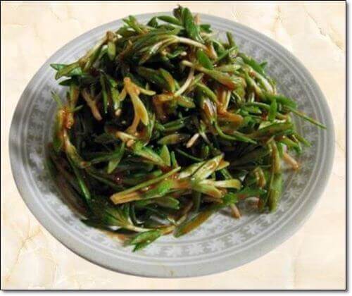 돗나물 초무침