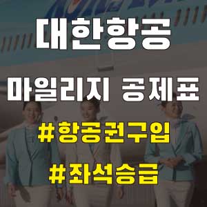 대한항공 마일리지 공제표
