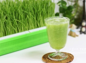 보리가루를-탄-물