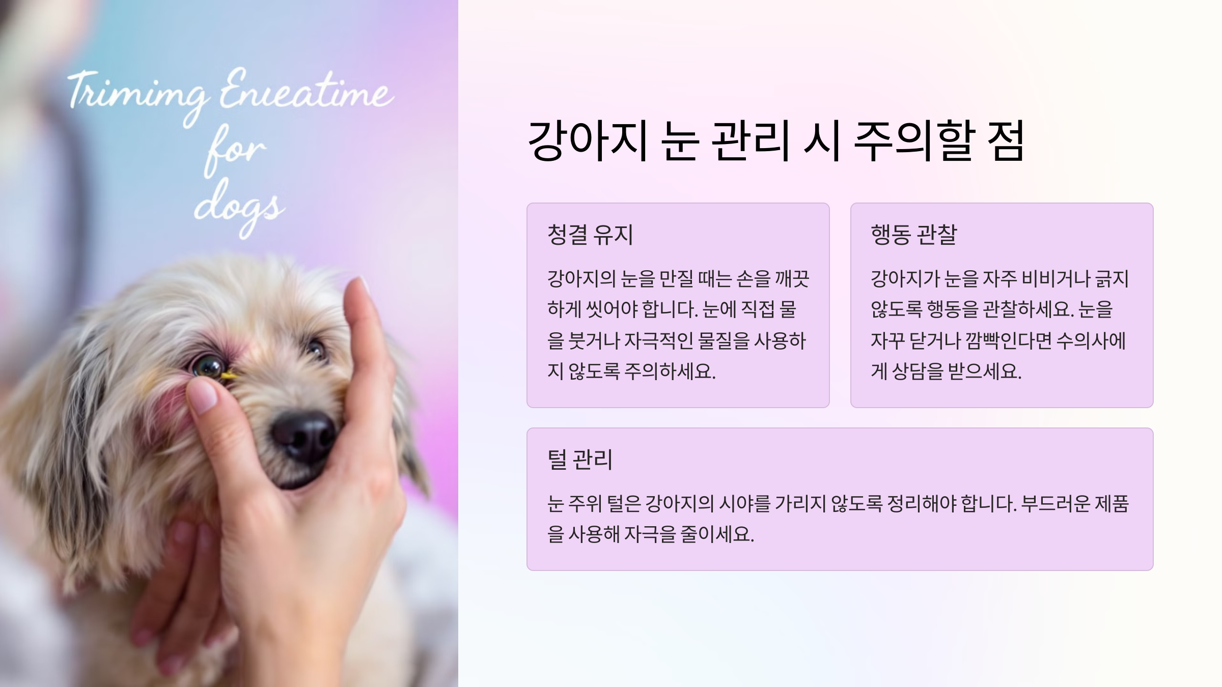 강아지 눈 관리 시 주의할 점