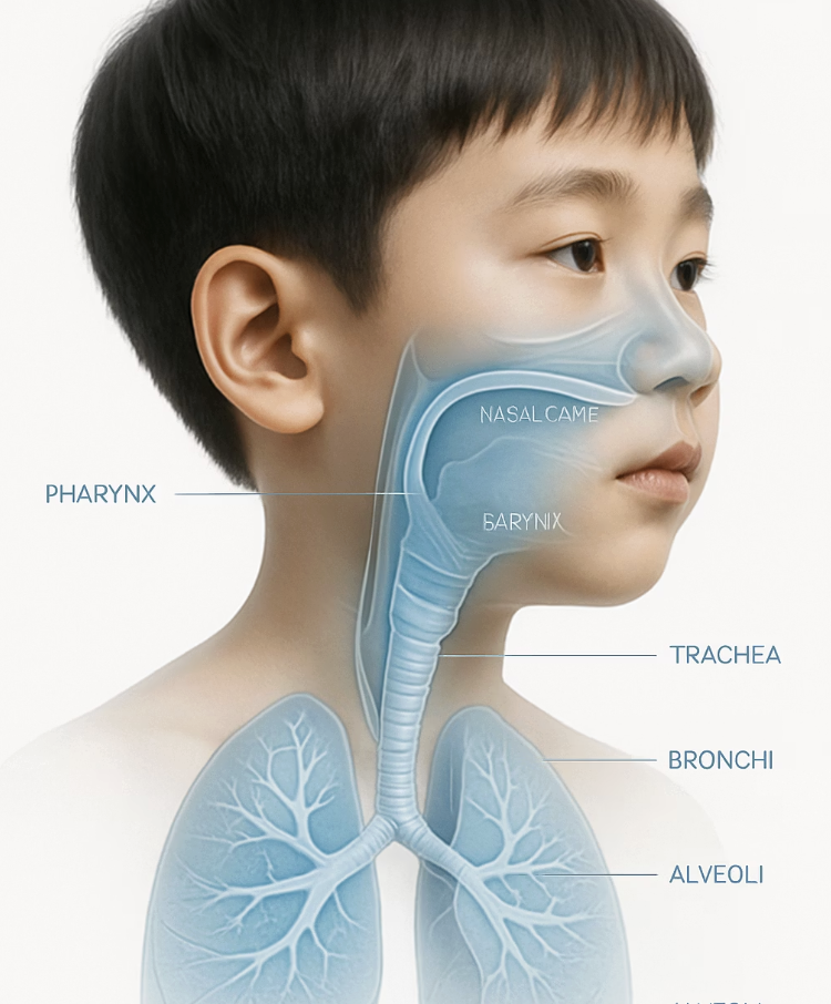 가래는 왜 생기는 걸까요?