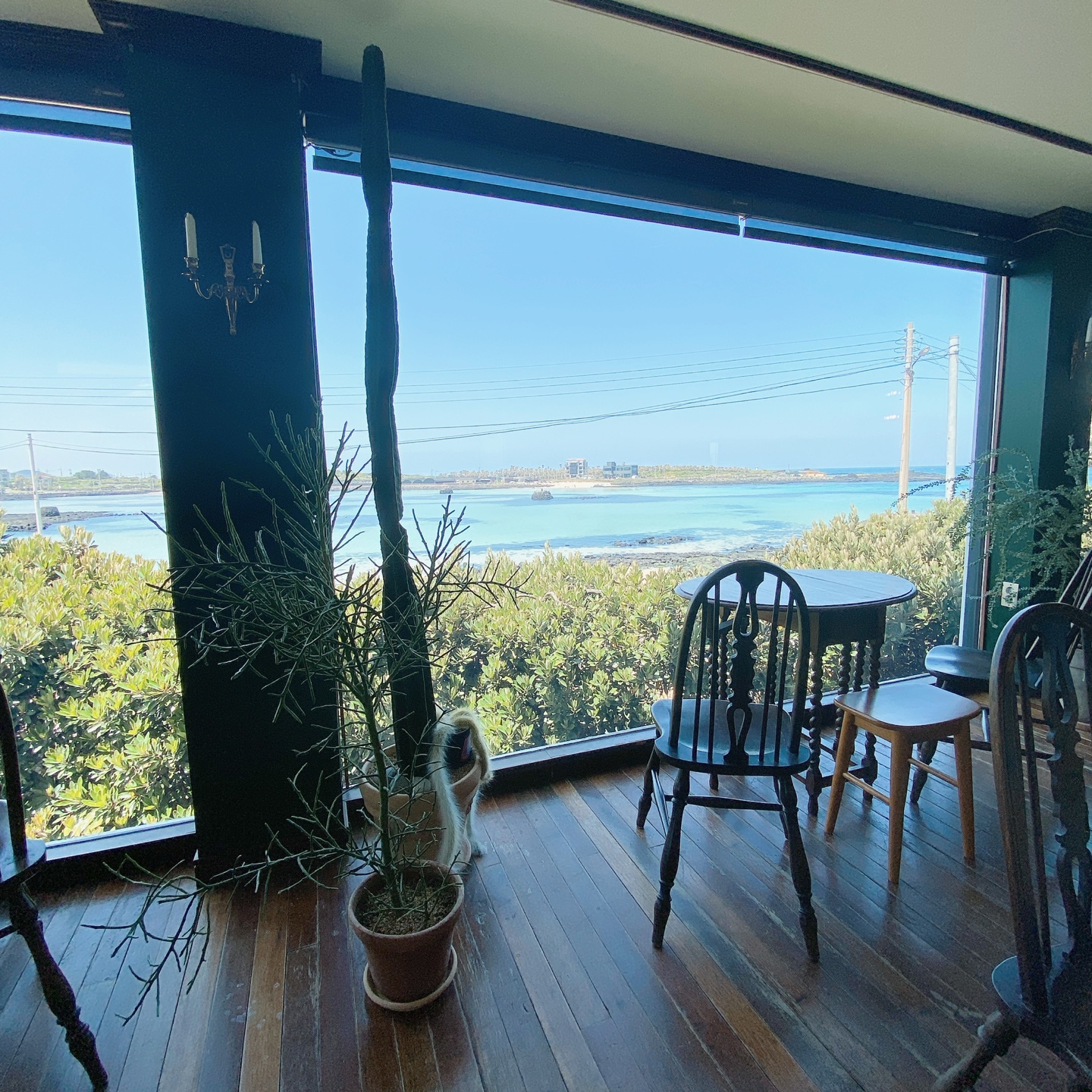 제주 조천 쇠물깍 함덕해수욕장 마피스 카페 빈티지 오션뷰