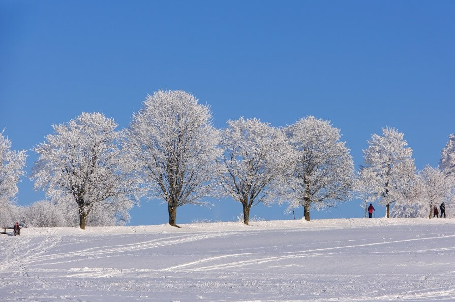 스노우플레이크 비즈니스 모델과 수익 전략 분석