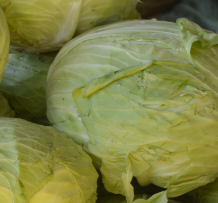 양배추 효능과 부작용 칼로리