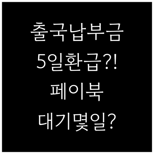 출국납부금 페이북 환급 며칠 걸리나 ..