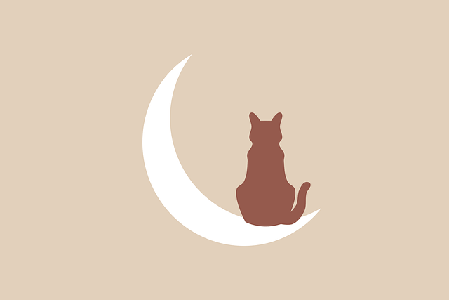 제22회 대구펫쇼 행사기간&amp;#44; 무료입장 방법