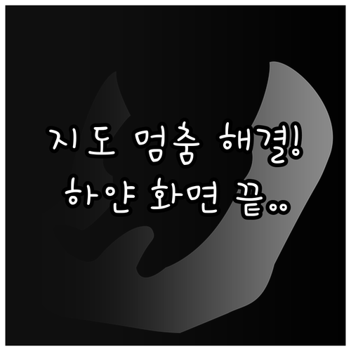 네이버 지도 앱 멈춤 현상과 화면 백..