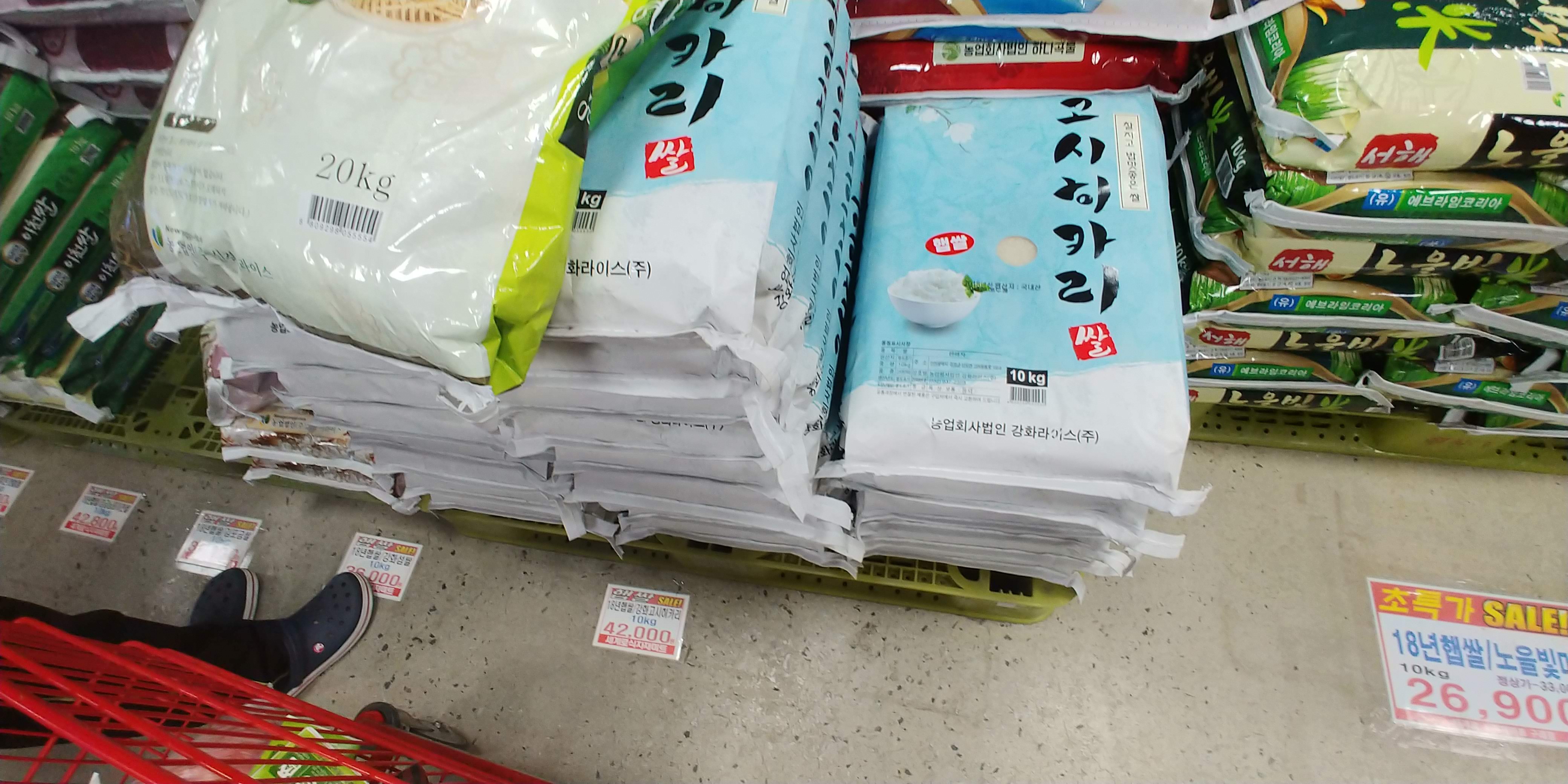 좋은 쌀 고르는 법
