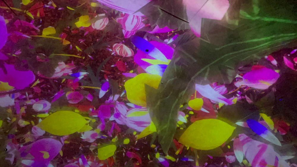 일본 도쿄 팀랩플래닛 관람-떨어지는 꽃들의 우주에 떠다니며