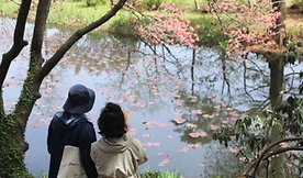 목원 목련축제(2025) 예약 및 여행코스 관련 사진