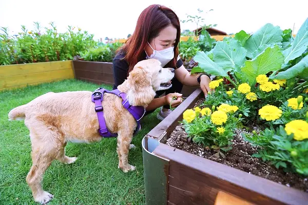 반려동물행동지도사 국가자격증 맹견 사육허가제 도입 알아봅니다