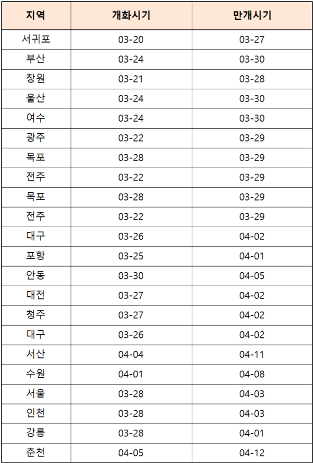 벚꽃 만개 시기표