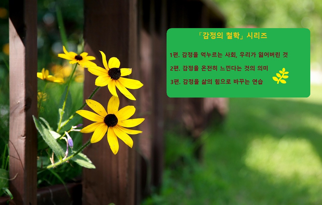 감정을 억누르는 사회, 우리가 잃어버린 것, 감정의 철학 1편