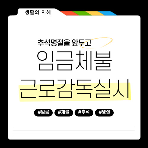 2024 추석 대비: 고용노동부 임금체불 집중 청산 및 신고 절차 안내
생활의 지혜
튜브킹스