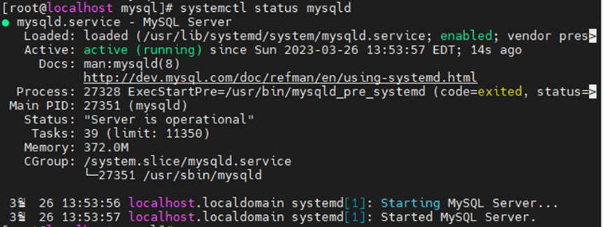 MySQL 실행상태 확인 화면