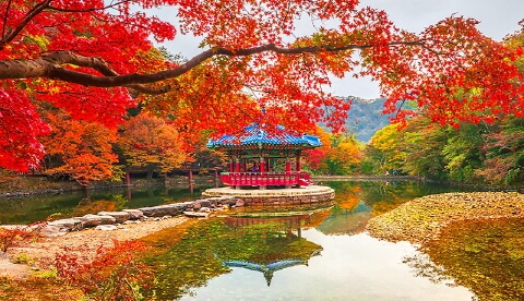 설악산부터 내장산까지! 가을 단풍 여행지 BEST 10