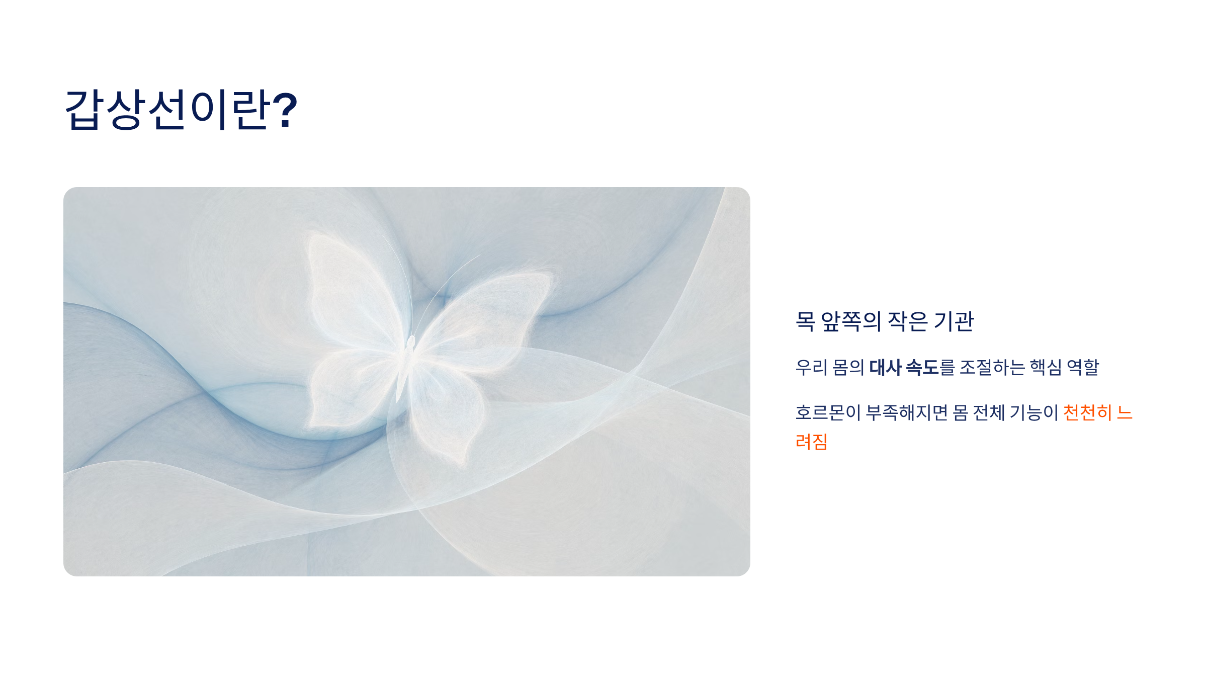 갑상선 기능 저하증 증상