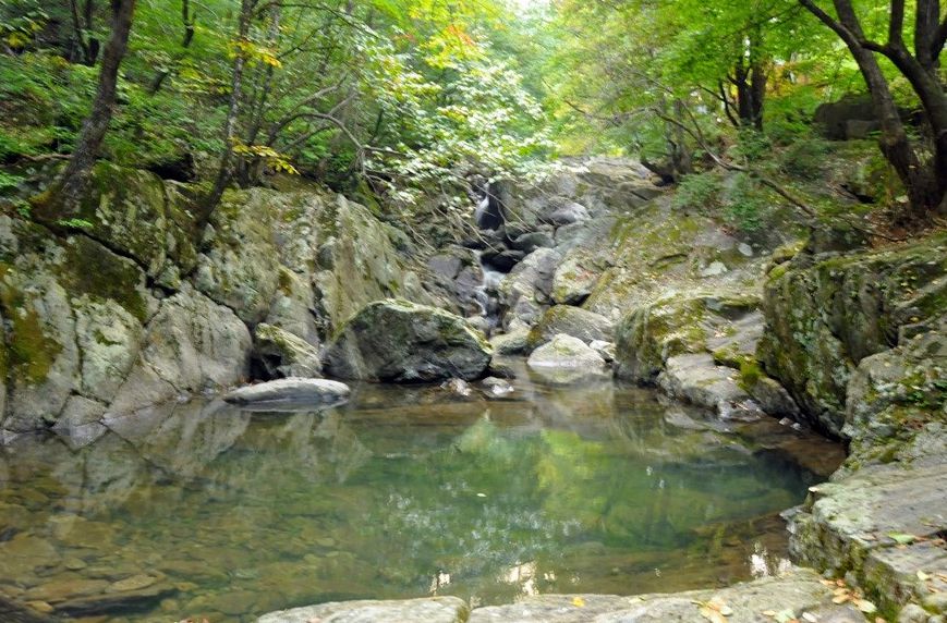 집다리골자연휴양림