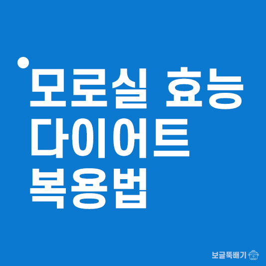 모로실 효능 다이어트