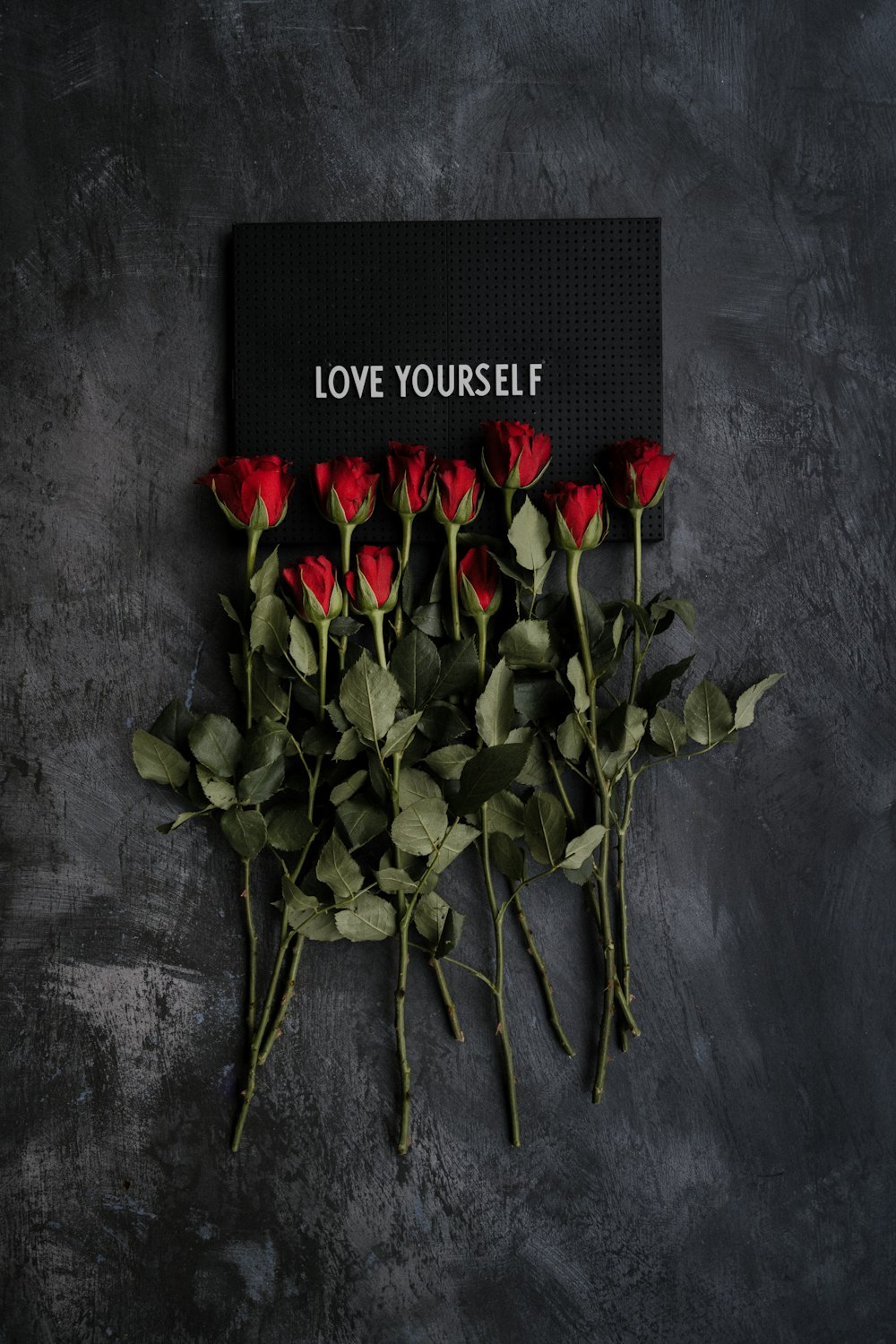 신념과 가치관 관련 이미지