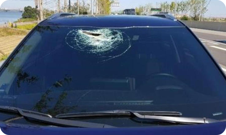 사진 출처= 연합뉴스