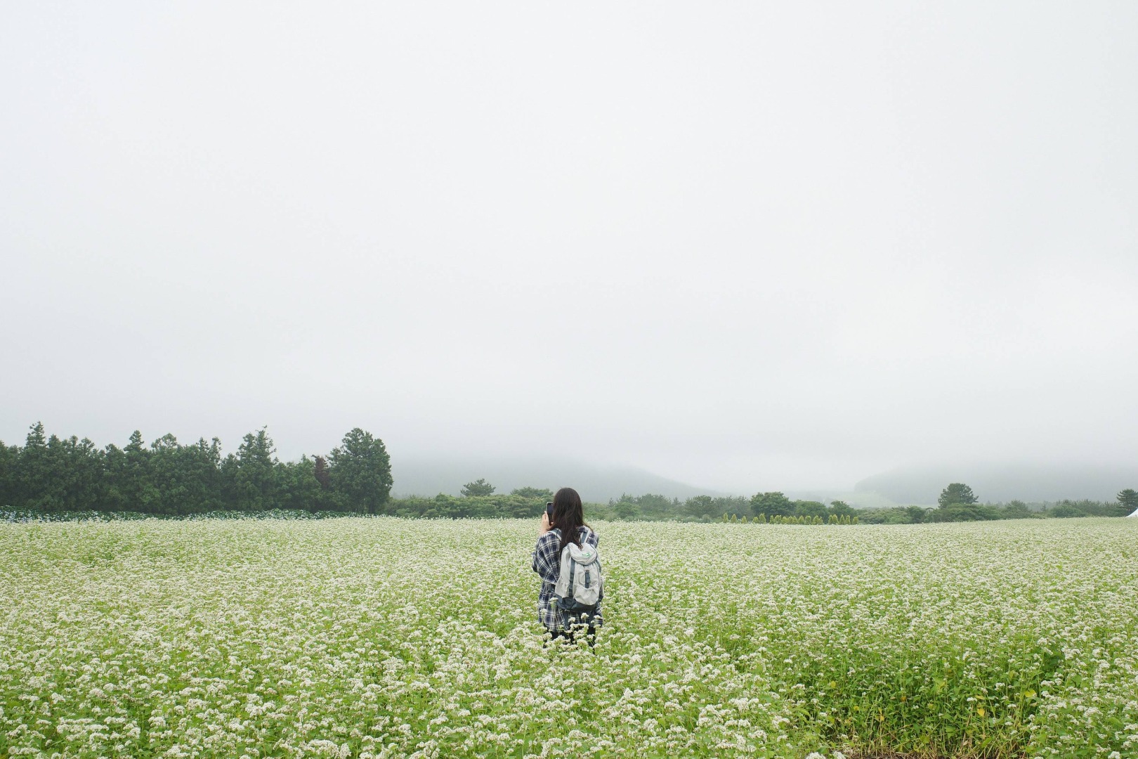 보롬왓 메밀축제