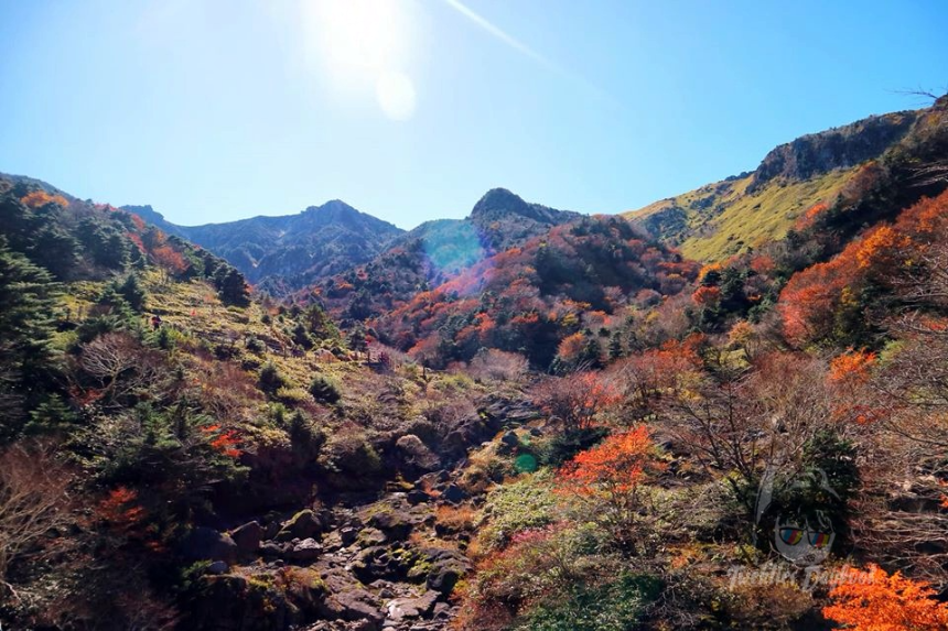 한라산 제대로 보는 법|사진 명소·코스 추천까지 완전 정리