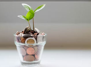 기아 배당금 지급일 기준일 입금 기아차 배당금 지급일